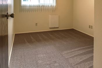 New carpeting